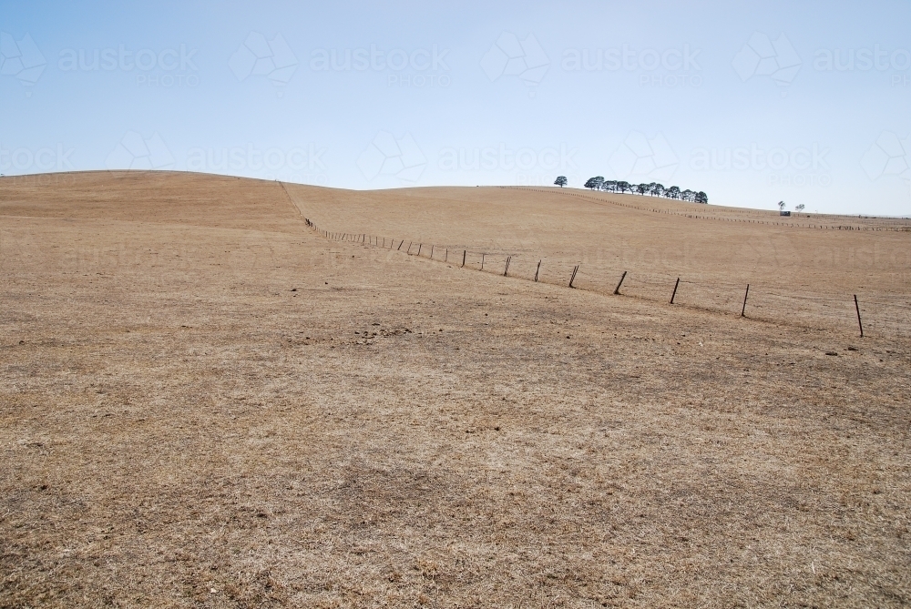 A farm landscape during a drought - Australian Stock Image