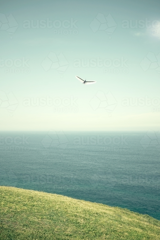 Abstract shapes of a single hang glider - Australian Stock Image