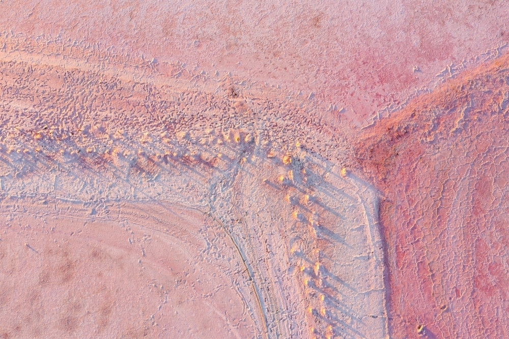 Aerial view of fence line detail through a pink salt Lake - Australian Stock Image