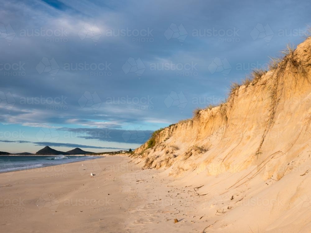 Beach sand dune erosion caused by a big storm - Australian Stock Image