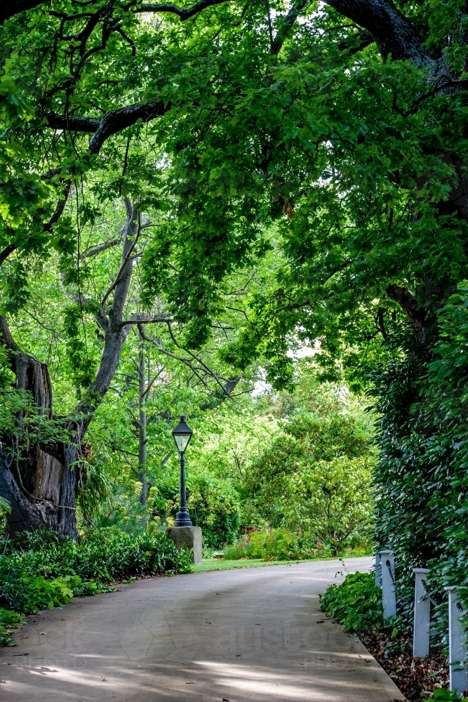 Bending path with lamp post through green plants and trees - Australian Stock Image