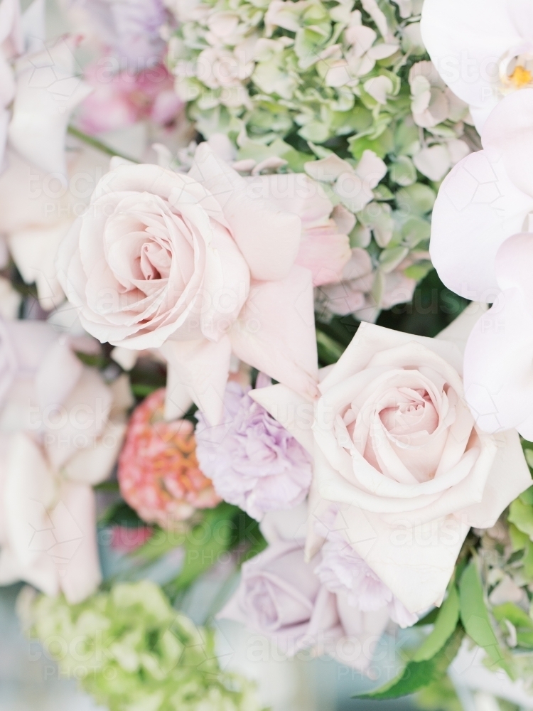 Bouquet of Pastel Roses In Soft Colours - Australian Stock Image