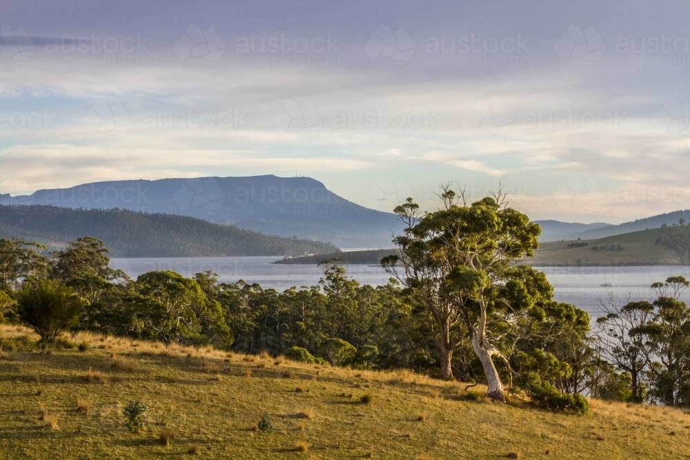 Bruny Island landscape with trees water and mountains - Australian Stock Image
