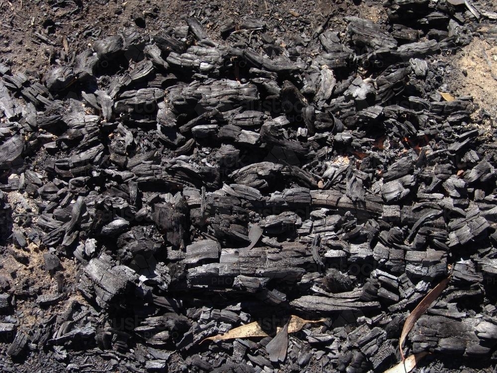 Charcoal remains of burned wood in a hollow - Australian Stock Image