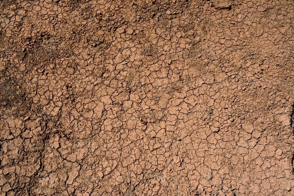 Detail shot of cracked dried mud - Australian Stock Image