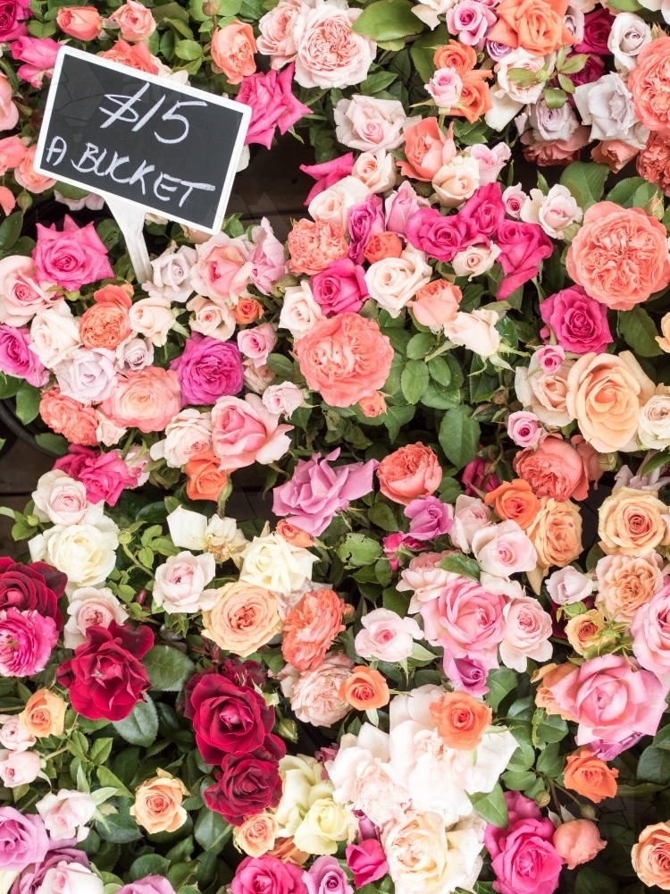 Full frame of roses for sale - Australian Stock Image