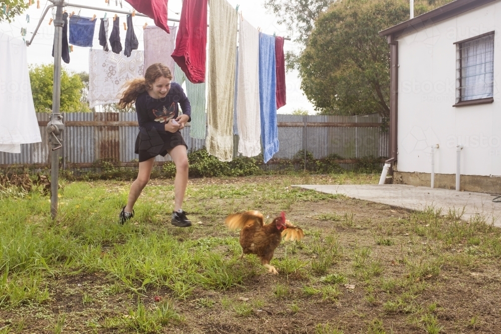 Girl chasing chicken in rural backyard - Australian Stock Image