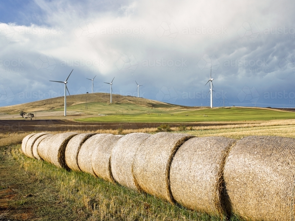 Hay bales in paddock with wind farm in background - Australian Stock Image