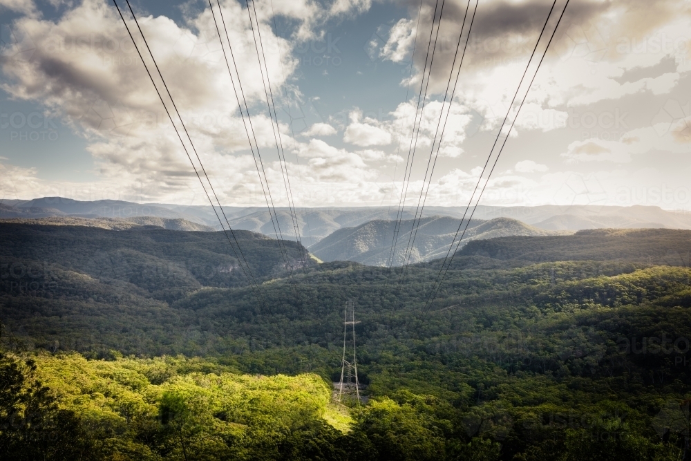 High voltage power lines pass through natural bushland in Blue Mountains - Australian Stock Image
