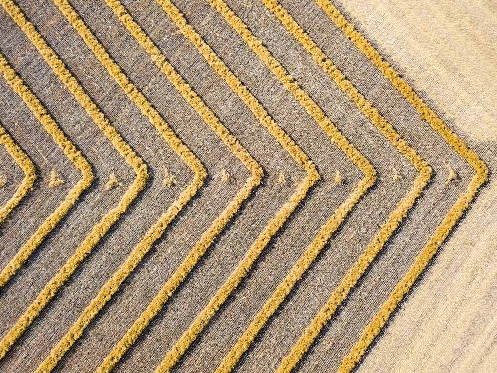 Looking down over dried windrows in a farmpaddock - Australian Stock Image