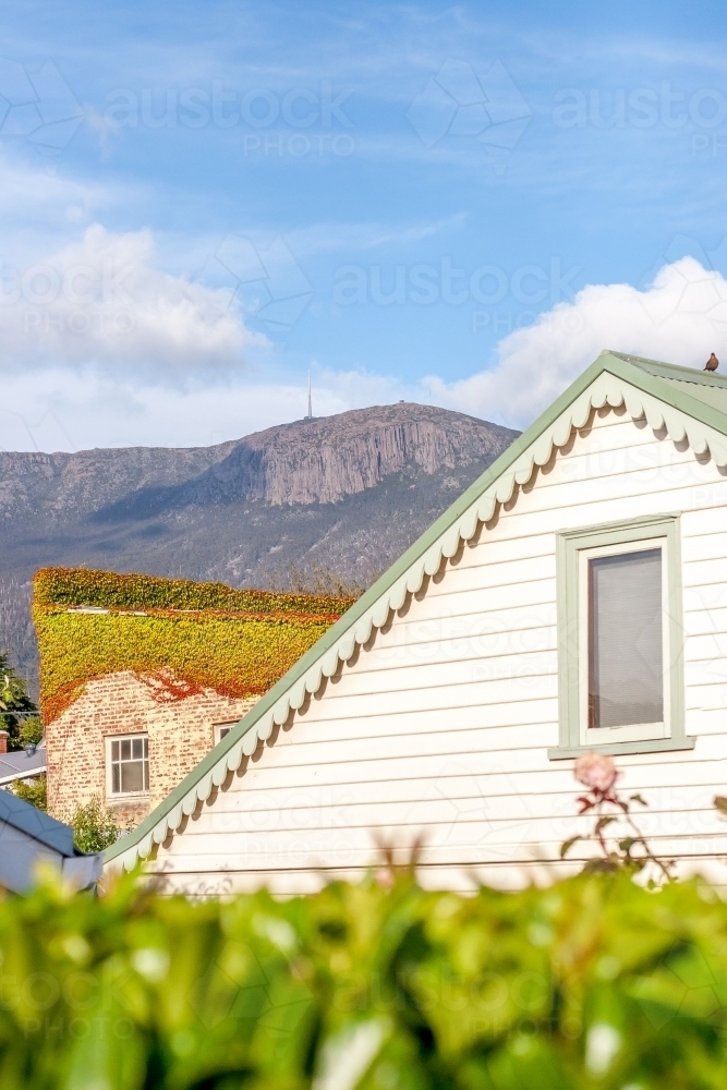 Looking through historic houses in South Hobart to Mount Wellington and the Organ Pipes - Australian Stock Image