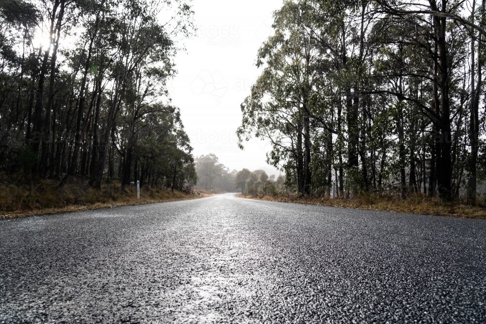 Low angle shot of wet bitumen country road - Australian Stock Image