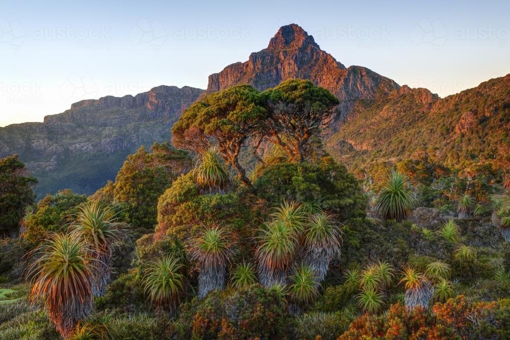 Mt. Anne from Pandani Shelf - Australian Stock Image