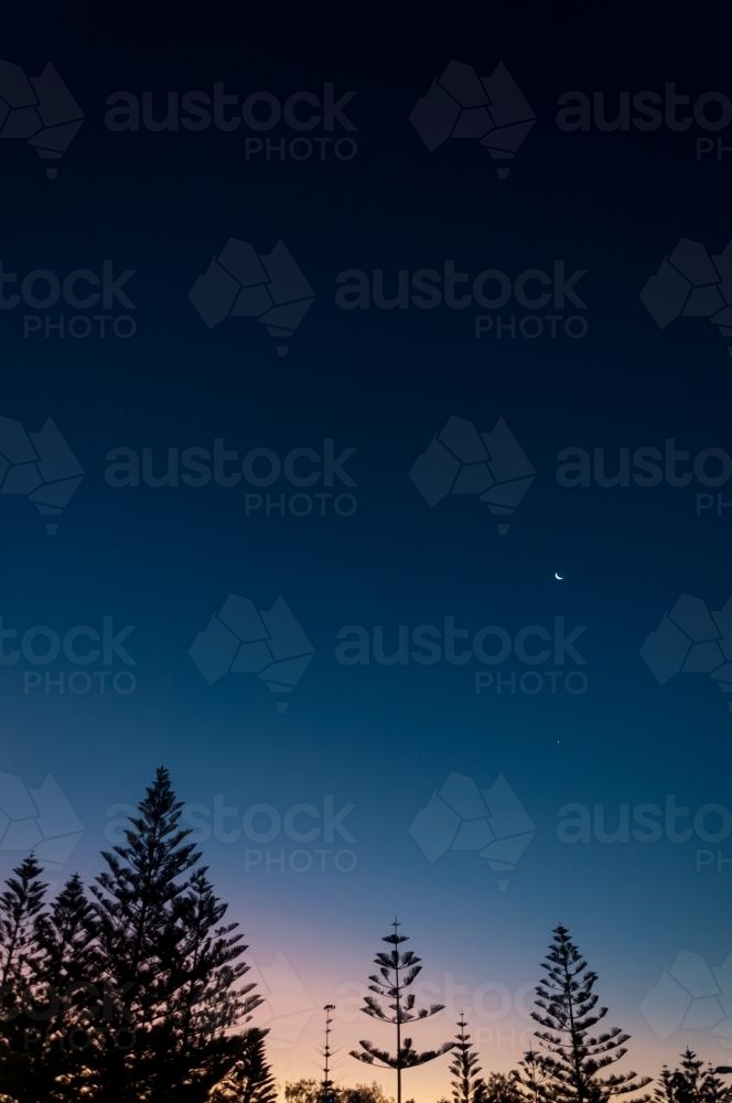 Night sky with trees at sunset - Australian Stock Image