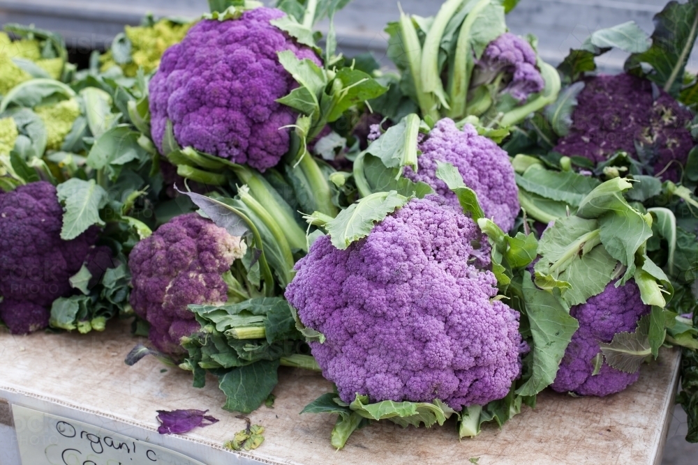 Organic cauliflower at a regional market - Australian Stock Image