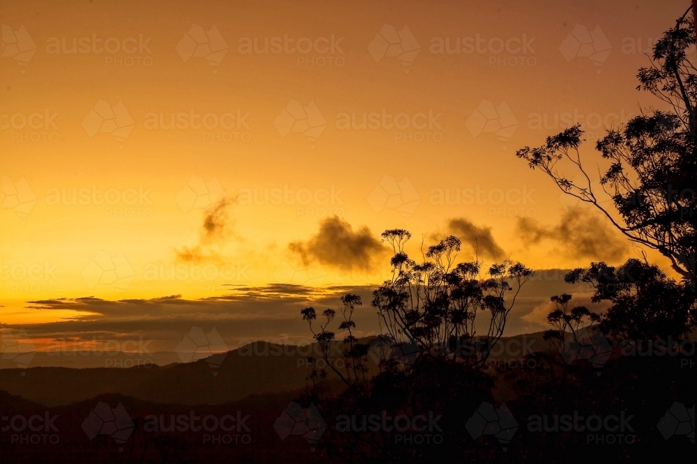 Peaceful Golden Sunset with Tree and Distant Mountain Silhouette - Australian Stock Image