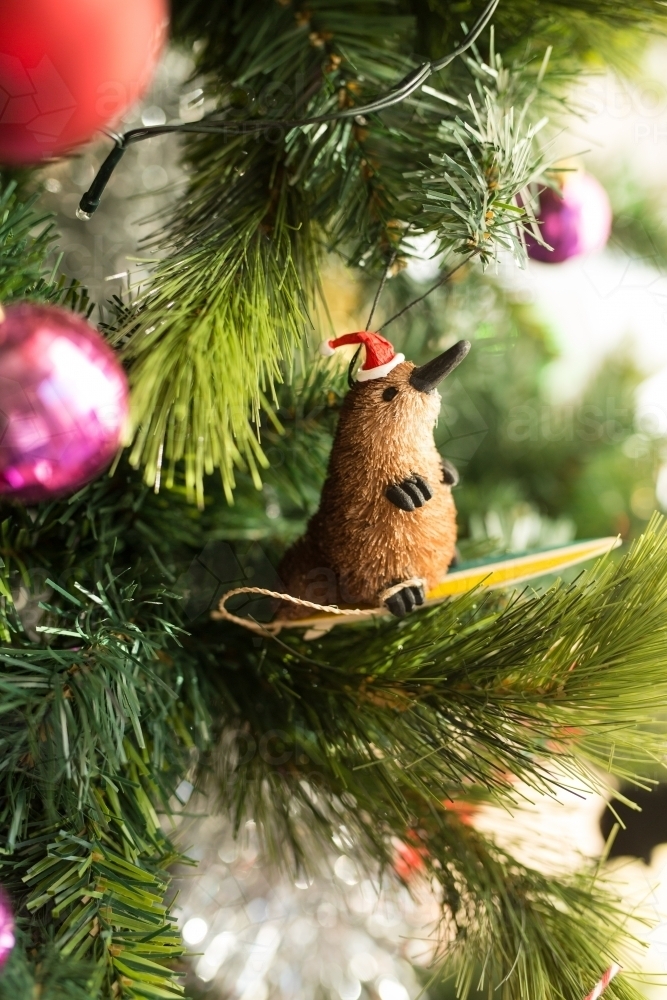 platypus christmas decoration hanging on a tree - Australian Stock Image
