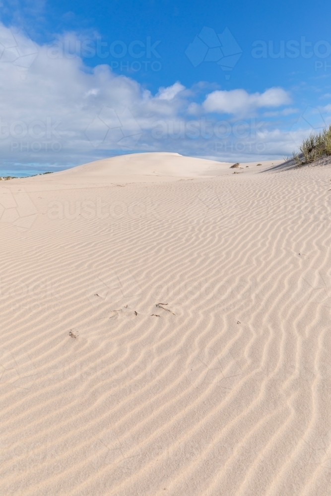 rippled white sand dune under blue sky with fluffy white clouds - Australian Stock Image