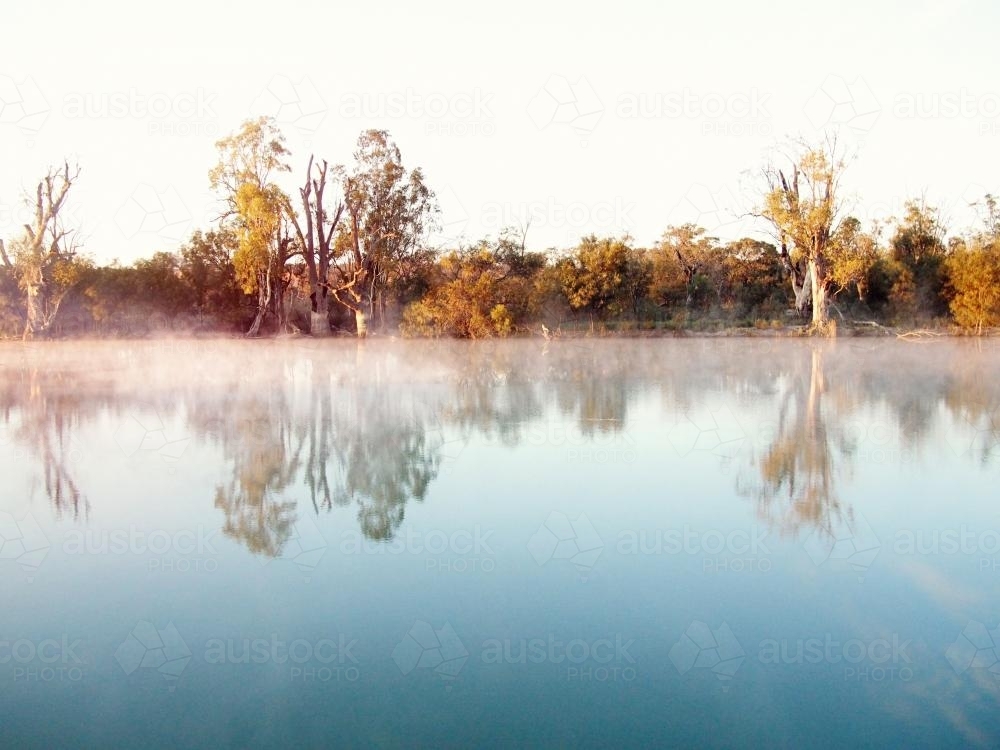 River and trees at sunset with fog - Australian Stock Image