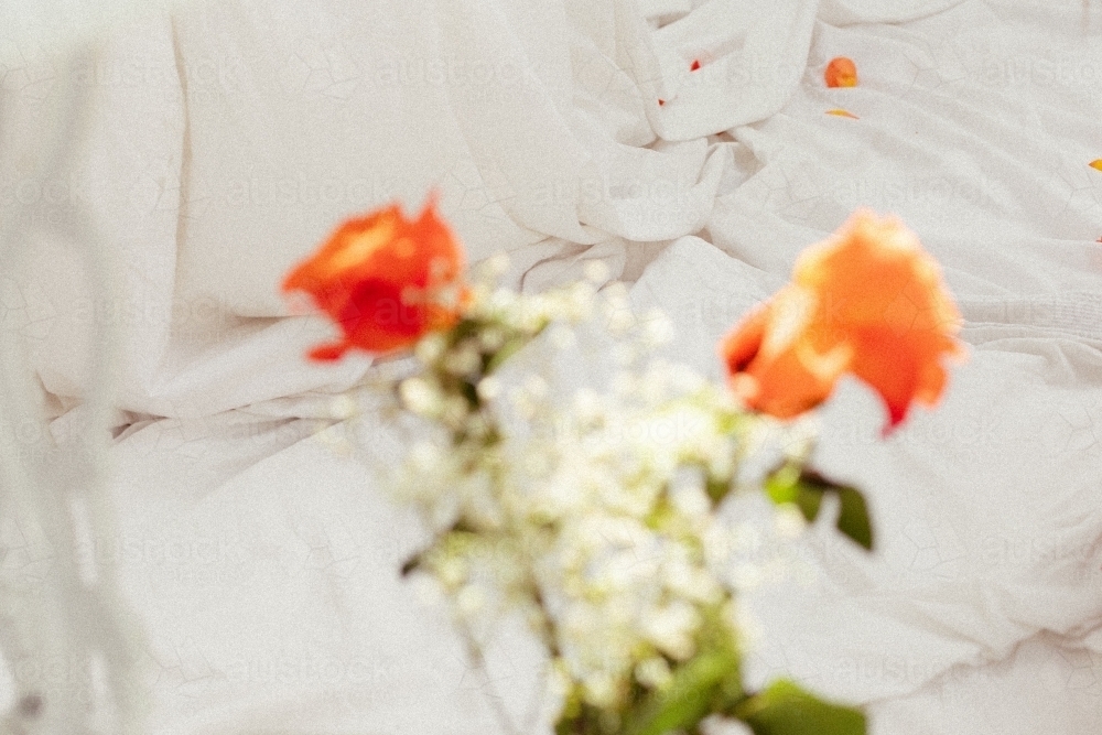 Romantic setting with orange roses and white draped sheets - Australian Stock Image