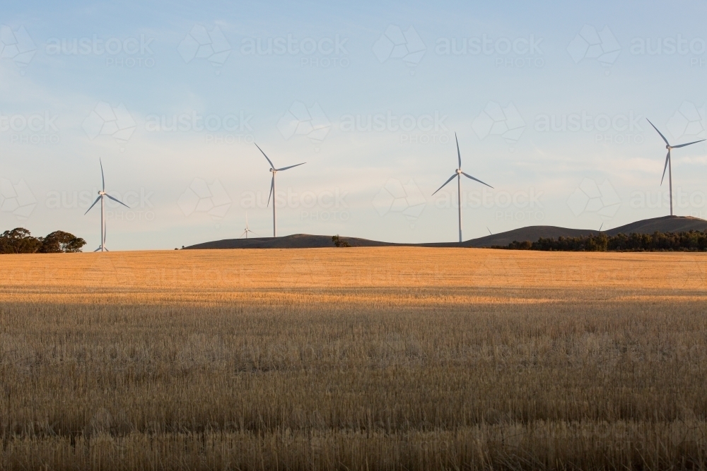 Rural Wind Turbines in a farm setting with evening sunlight across the paddocks - Australian Stock Image