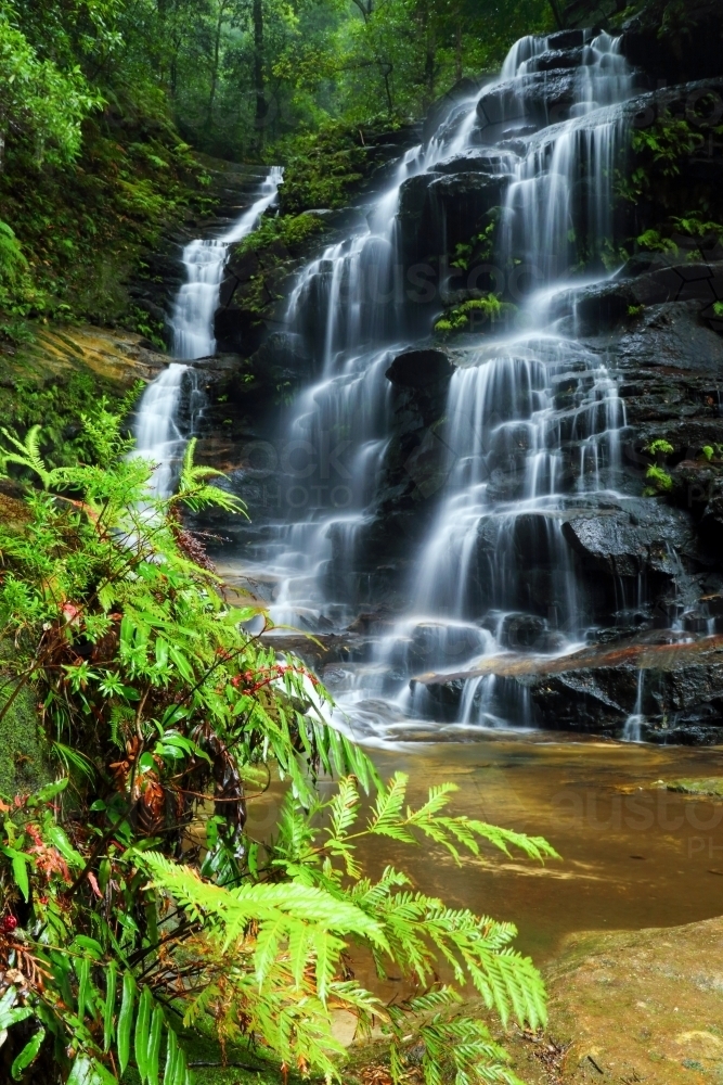 Silvia Falls waterfall downstream of Empress Falls near the town of Wentworth Falls - Australian Stock Image