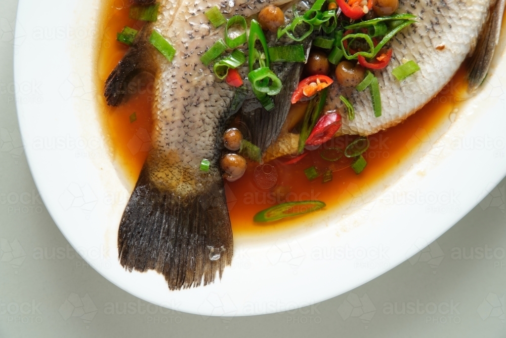 Steamed fresh fish - Australian Stock Image