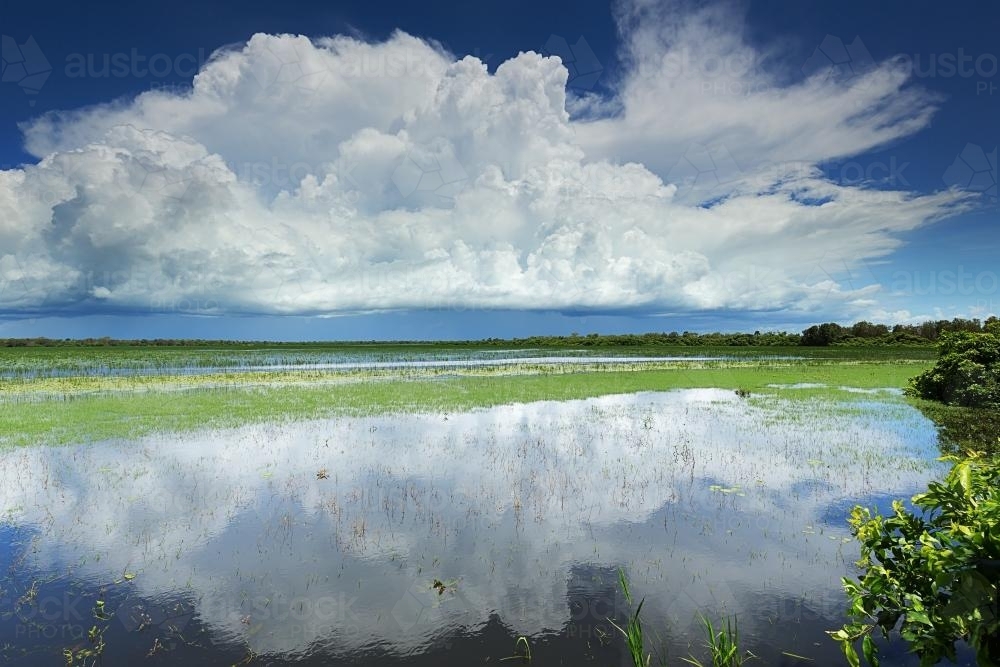 Storm over Mamakalu Wetlands, Kakadu National Park - Australian Stock Image