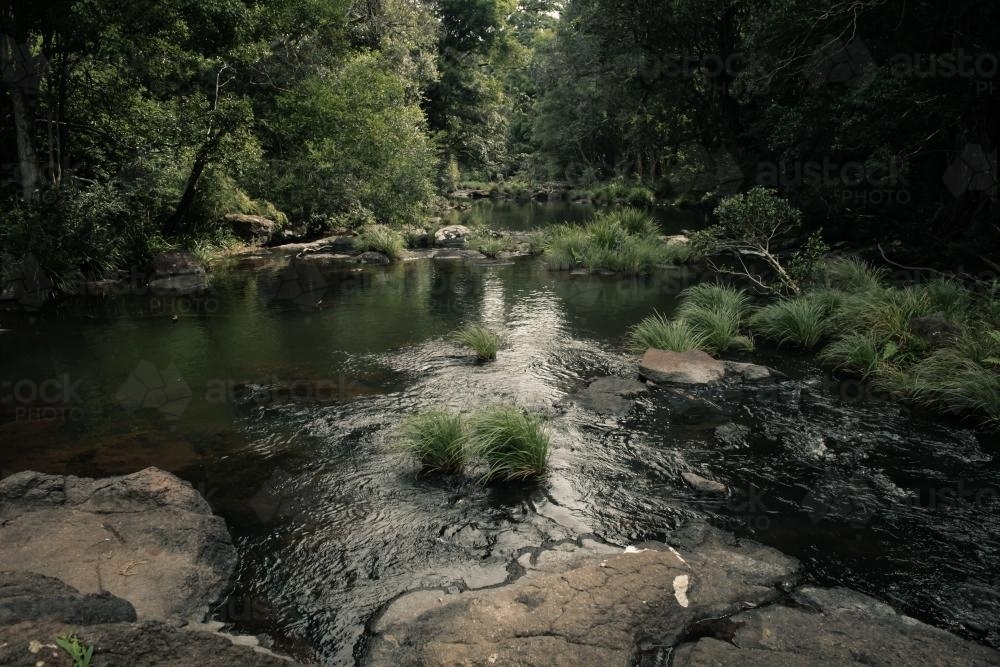 The creek in the hinterland - Australian Stock Image
