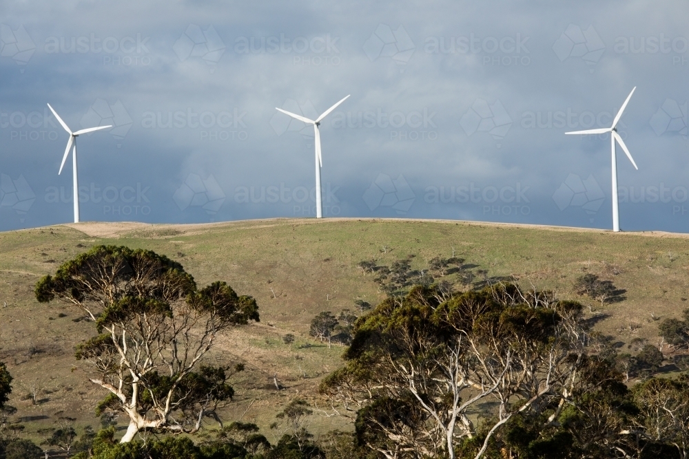 Three wind turbines on a bare grassy hill in a paddock. - Australian Stock Image