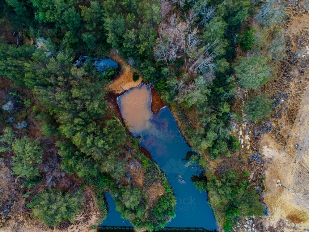 Trees beside pool of stagnant water of creek - Australian Stock Image
