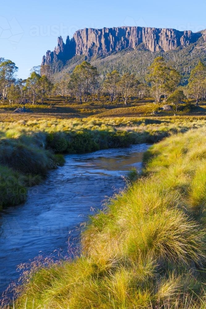 View of Mt. Oakleigh with river and green grass in foreground. - Australian Stock Image