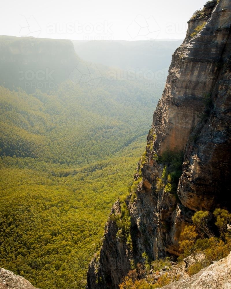 Views from Mt Hay near Butterbox canyon in the Blue Mountains National Park - Australian Stock Image