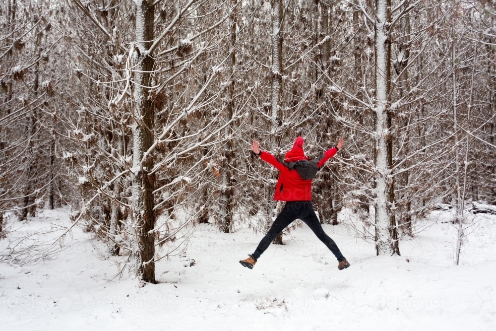Woman does a star jump in the snow filled pine forest. - Australian Stock Image
