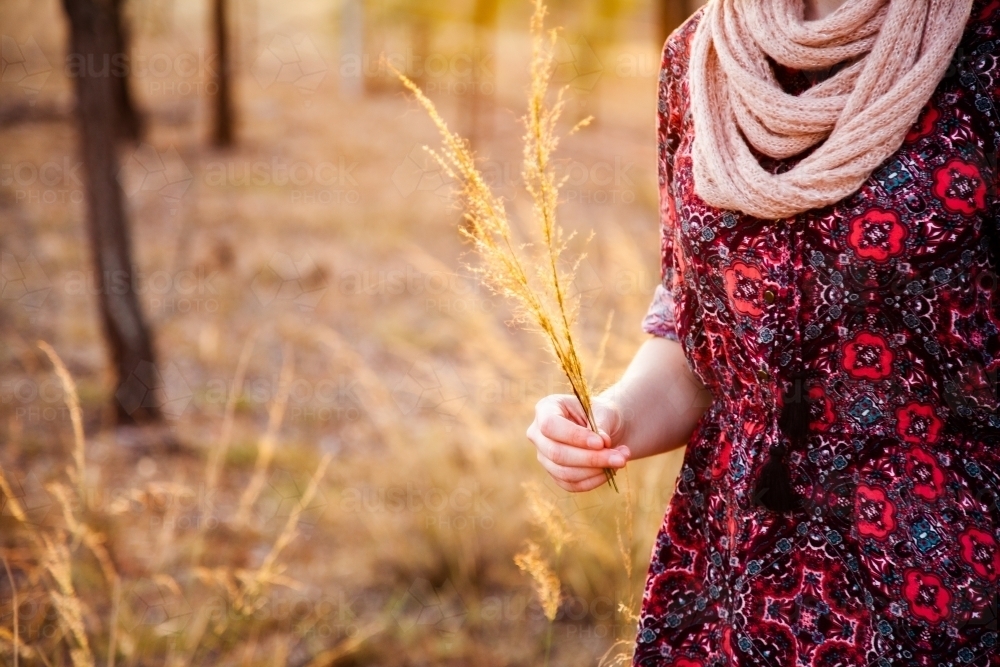 Young woman holding stalks of grass in paddock - Australian Stock Image