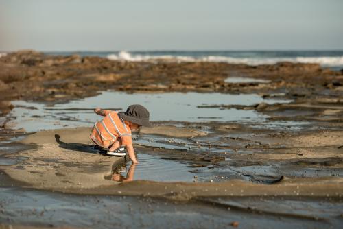 2 year old mixed race boy looks for shells on a rocky coast