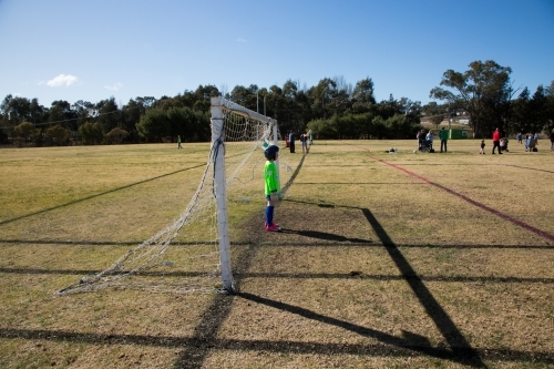 Young girl in a goal at soccer as goalie