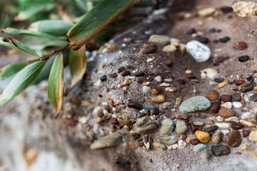 A close up of small, colourful pebbles, naturally embedded in a sandstone rock structure.