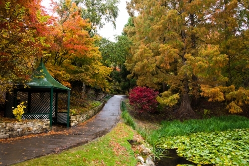 A garden path leading through the autumn coloured foliage at Mt Lofty