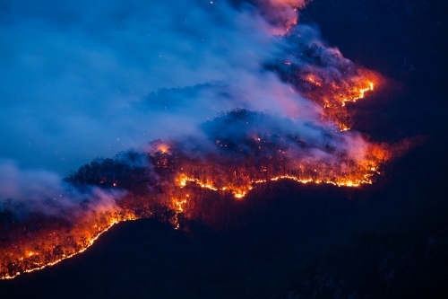 A line of fire burning through a mountainous forest