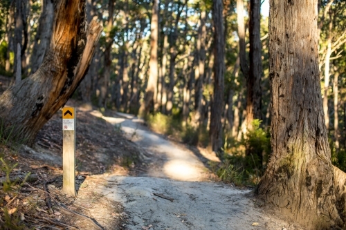 A sign post marks the way along a gravel walking track in amongst an open dry eucalyptus forest