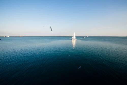 A yacht sailing on calm blue sea with birds flying