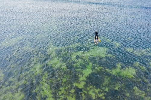 Aerial view of a stand up paddle boarder on calm water