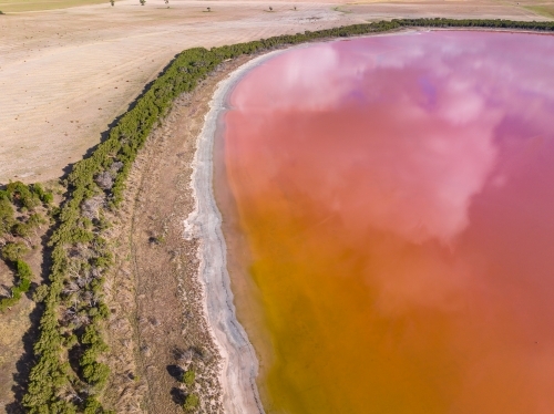 Aerial view of the curved shoreline of a section of a colourful pink salt lake