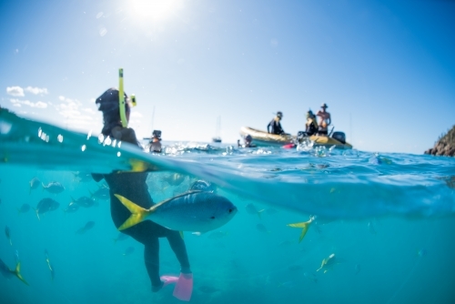 An underwater split shot of snorkelers swimming amongst tropical fish
