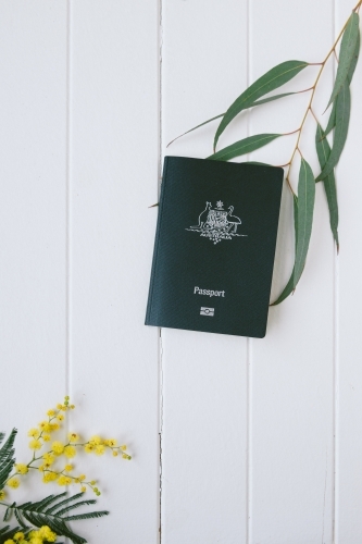 Australian  passport with wattle and gum leaf and copyspace
