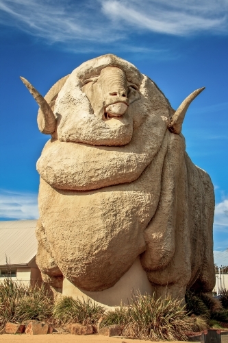 Big Merino cement sculpture with blue sky background