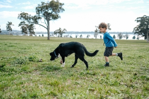 Boy and his dog on the farm