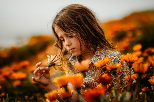 Boy surrounded by a field of flowers