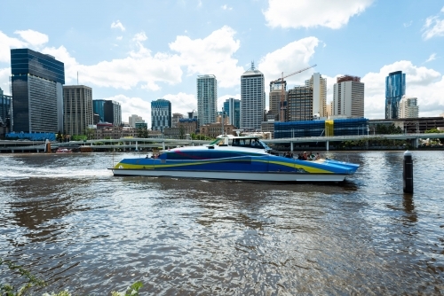 Brisbane city river cat on water